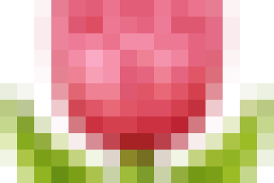 BỒI DƯỠNG: NÂNG CAO NĂNG LỰC DẠY HỌC MÔN TIẾNG VIỆT THEO CTGDPT 2018