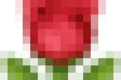 VINH DỰ VÀ TỰ HÀO CỦA CHI BỘ TRƯỜNG TIỂU HỌC NINH THẮNG